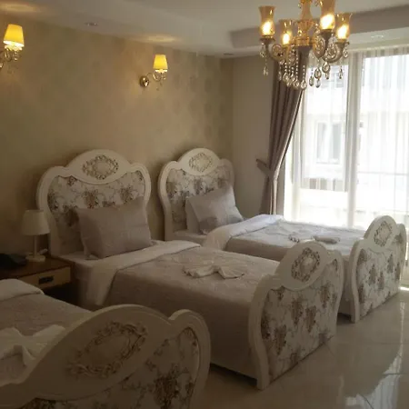 Hotel The Larossa *